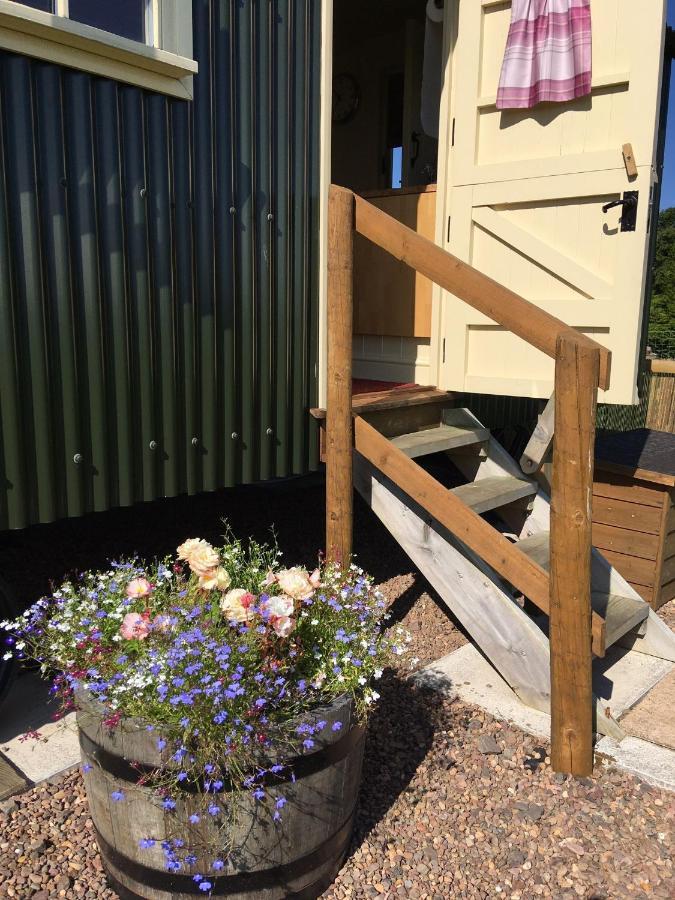 איימאות' The Hawthorn Shepherds Hut מראה חיצוני תמונה